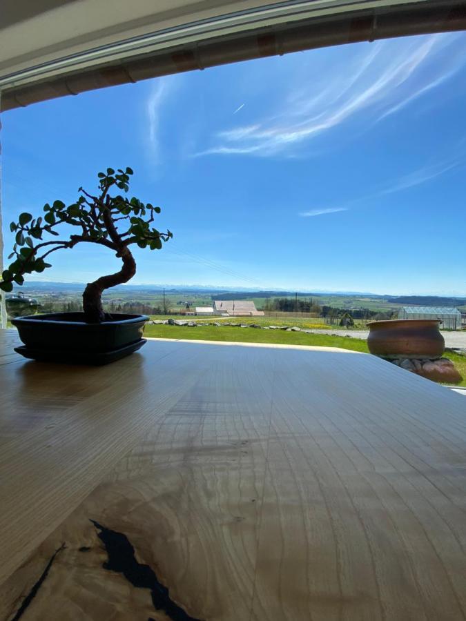 Leutkirch im AllgäuFerienhaus Alpenblick Auf'M Vorderberg别墅 外观 照片